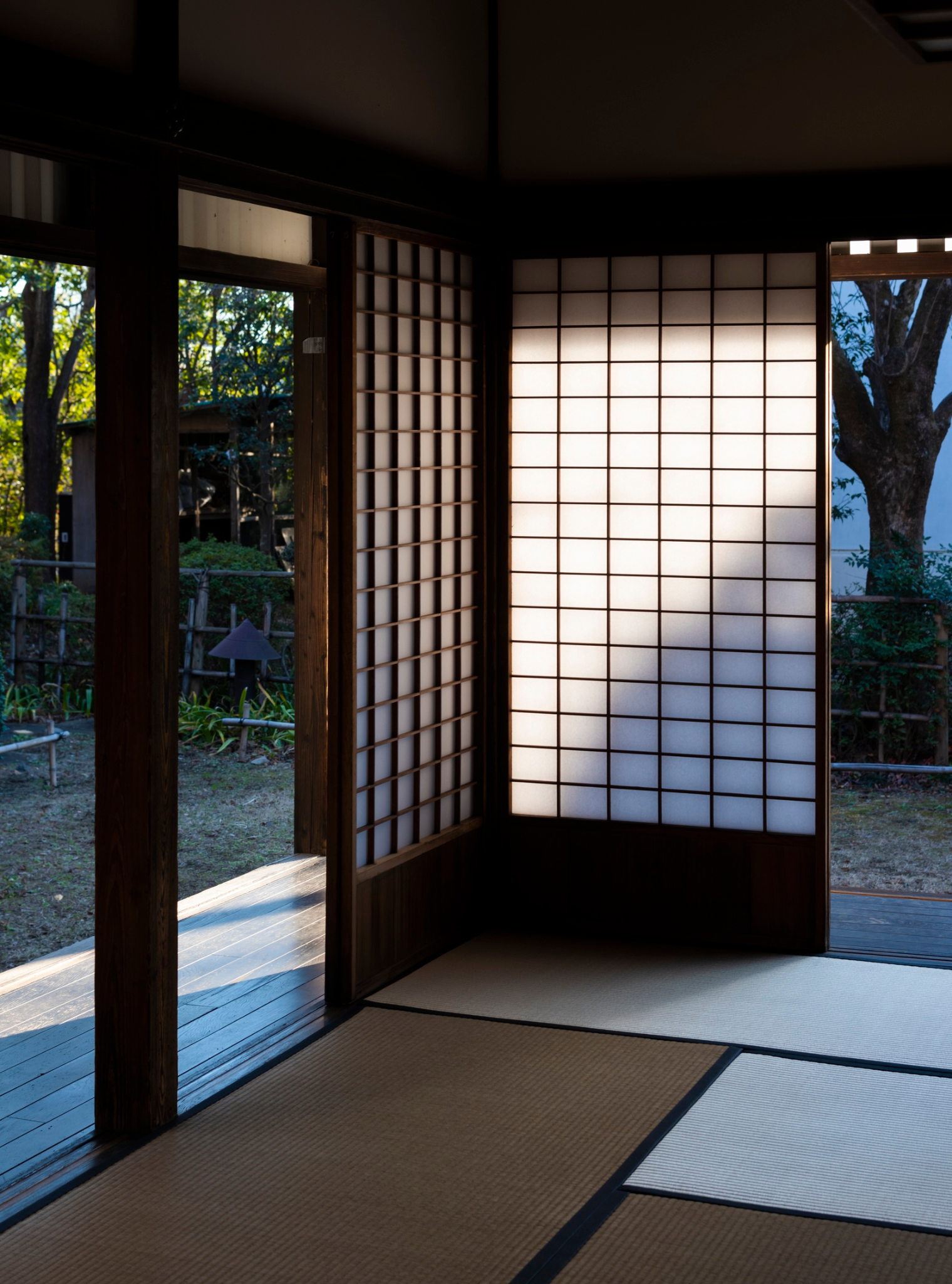 Authentication image